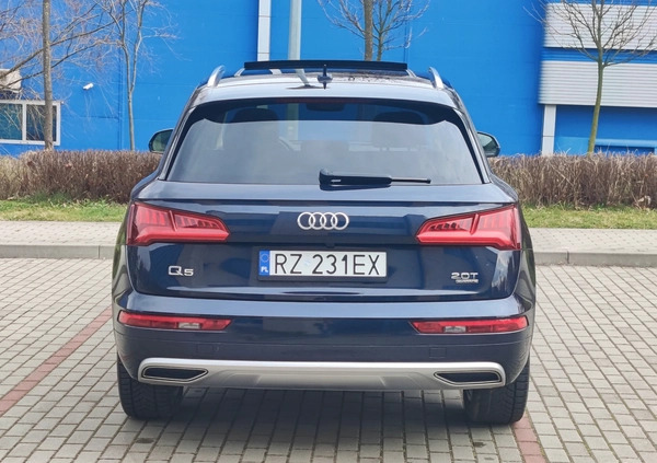 Audi Q5 cena 104890 przebieg: 111916, rok produkcji 2017 z Rzeszów małe 436